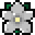 Tag Icon