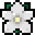 Tag Icon