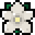 Tag Icon