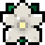 Tag Icon