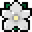 Tag Icon