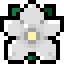 Tag Icon