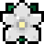 Tag Icon