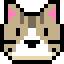 Tag Icon