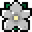 Tag Icon